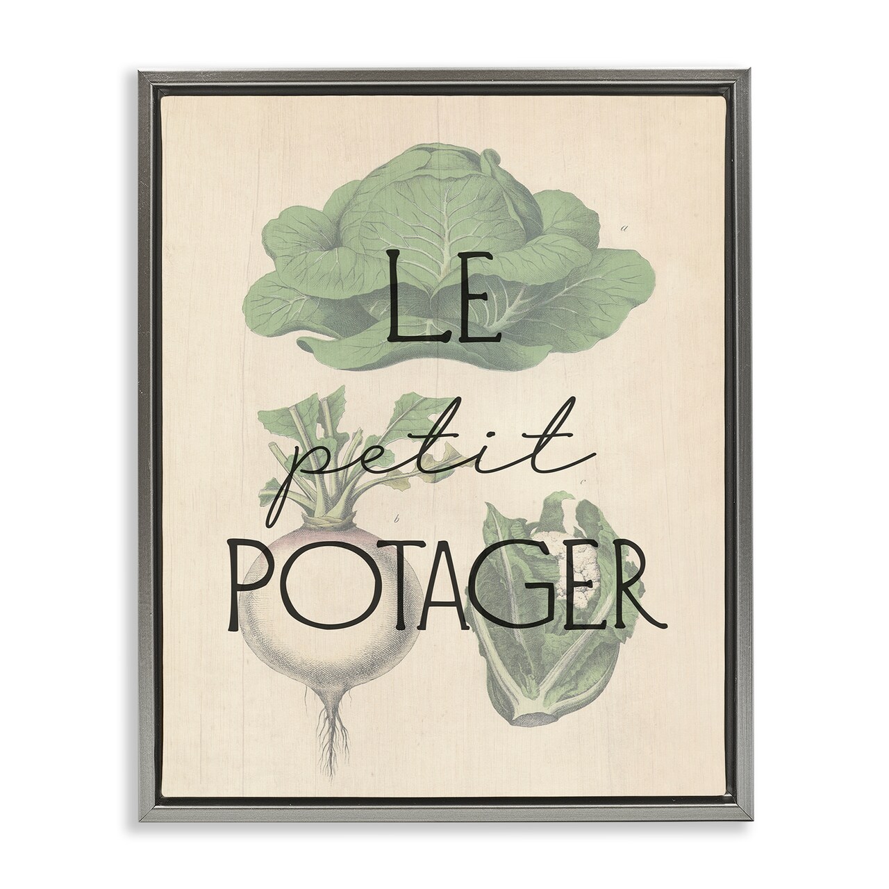 Stupell Industries French Vegetable Garden Floater Framed Canvas Wall Art Design by Daphne Polselli
